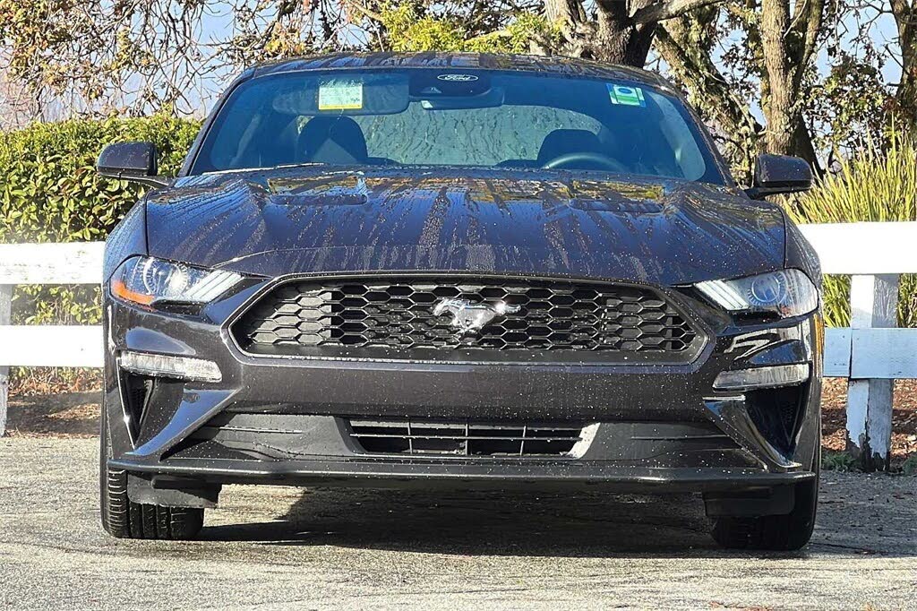 2022 Ford Mustang EcoBoost Fastback RWD for sale in Novato, CA – photo 9