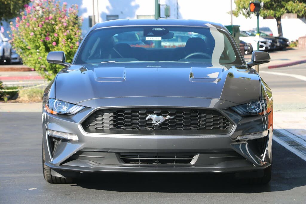 2022 Ford Mustang EcoBoost Fastback RWD for sale in Walnut Creek, CA – photo 3