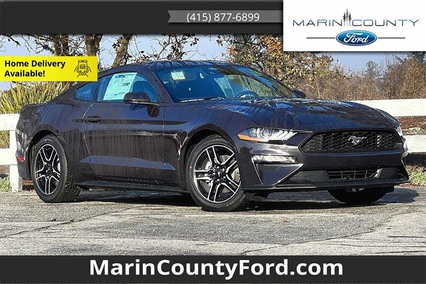 2022 Ford Mustang EcoBoost Fastback RWD for sale in Novato, CA